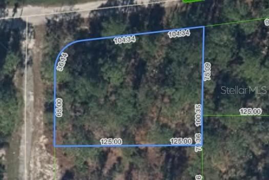 233 Moon Glow Ct., Lake Placid, FL 33852