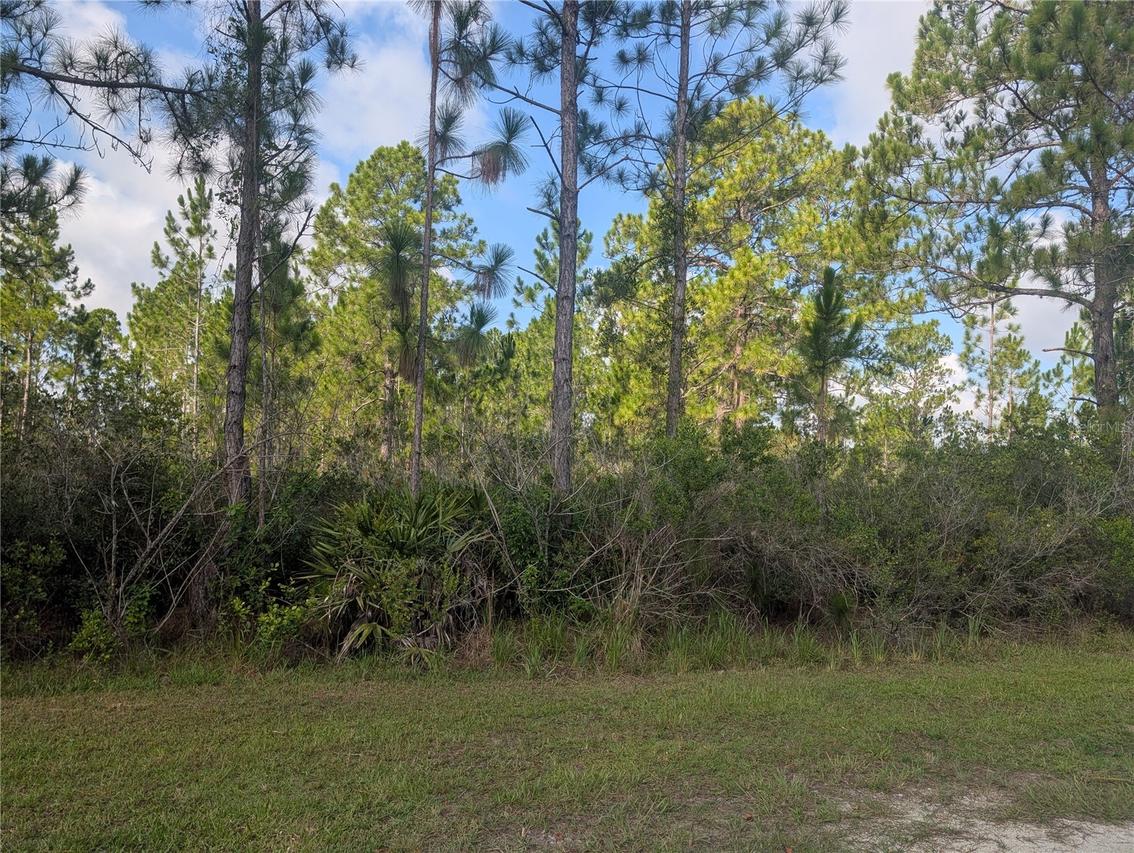 Coral Gables Dr., Indian Lake Estates, FL 33855