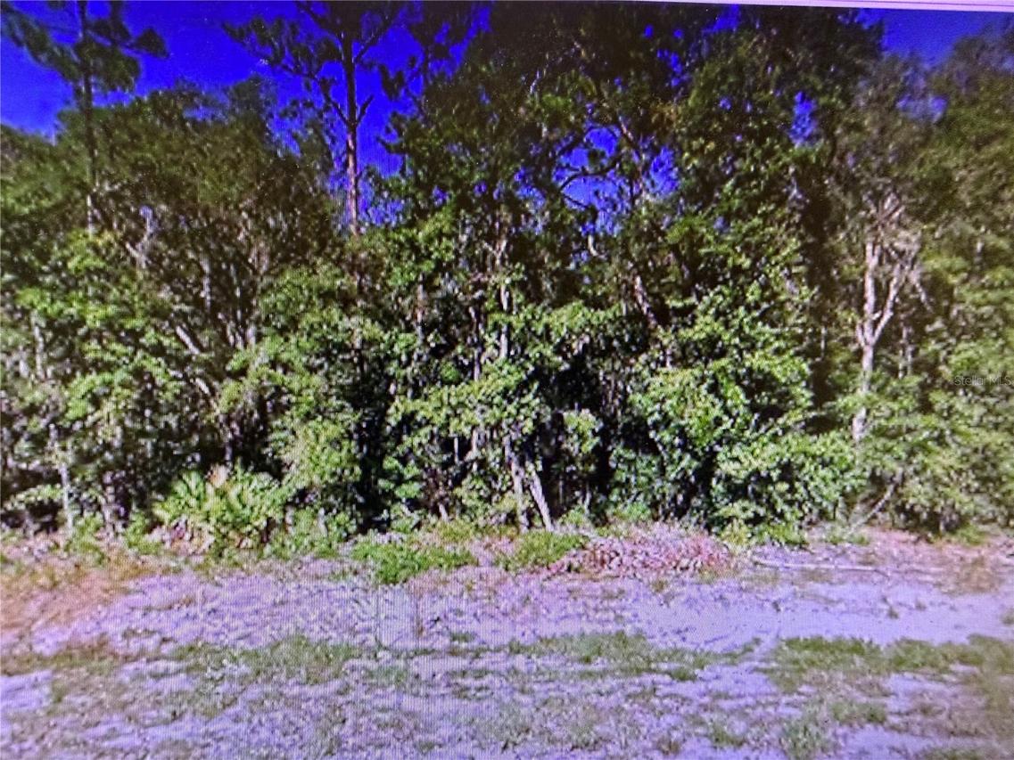 Chipo St St., Interlachen, FL 32148
