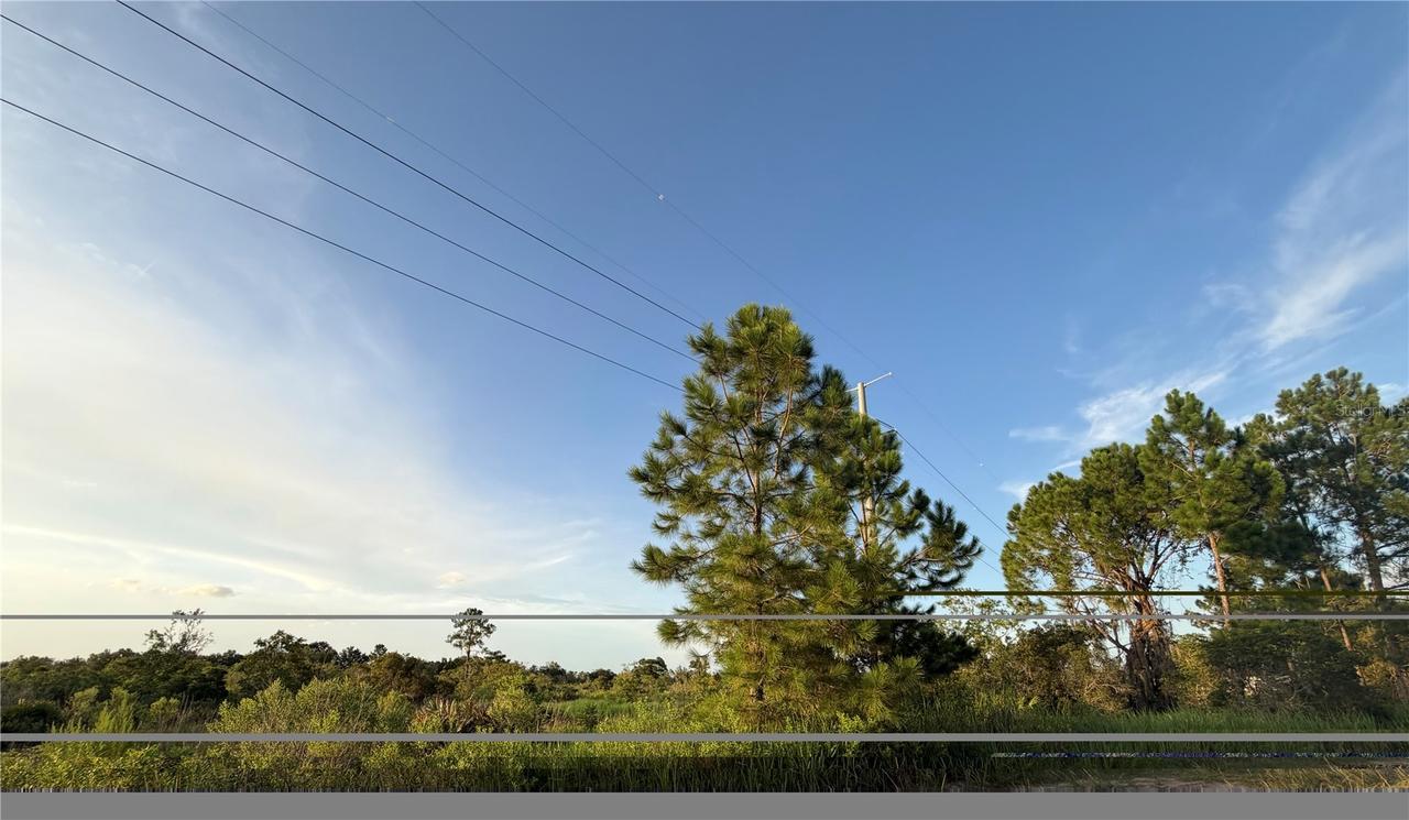 Allison Ave., Lake Wales, FL 33859