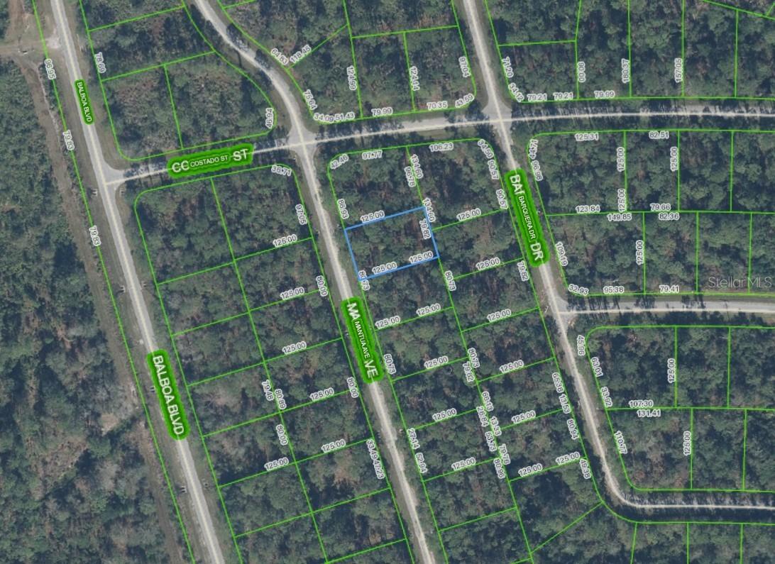 8950 Mantua Dr., Sebring, FL 33872