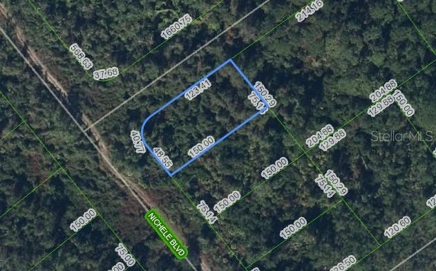 457 Nichele Blvd., Lake Placid, FL 33852