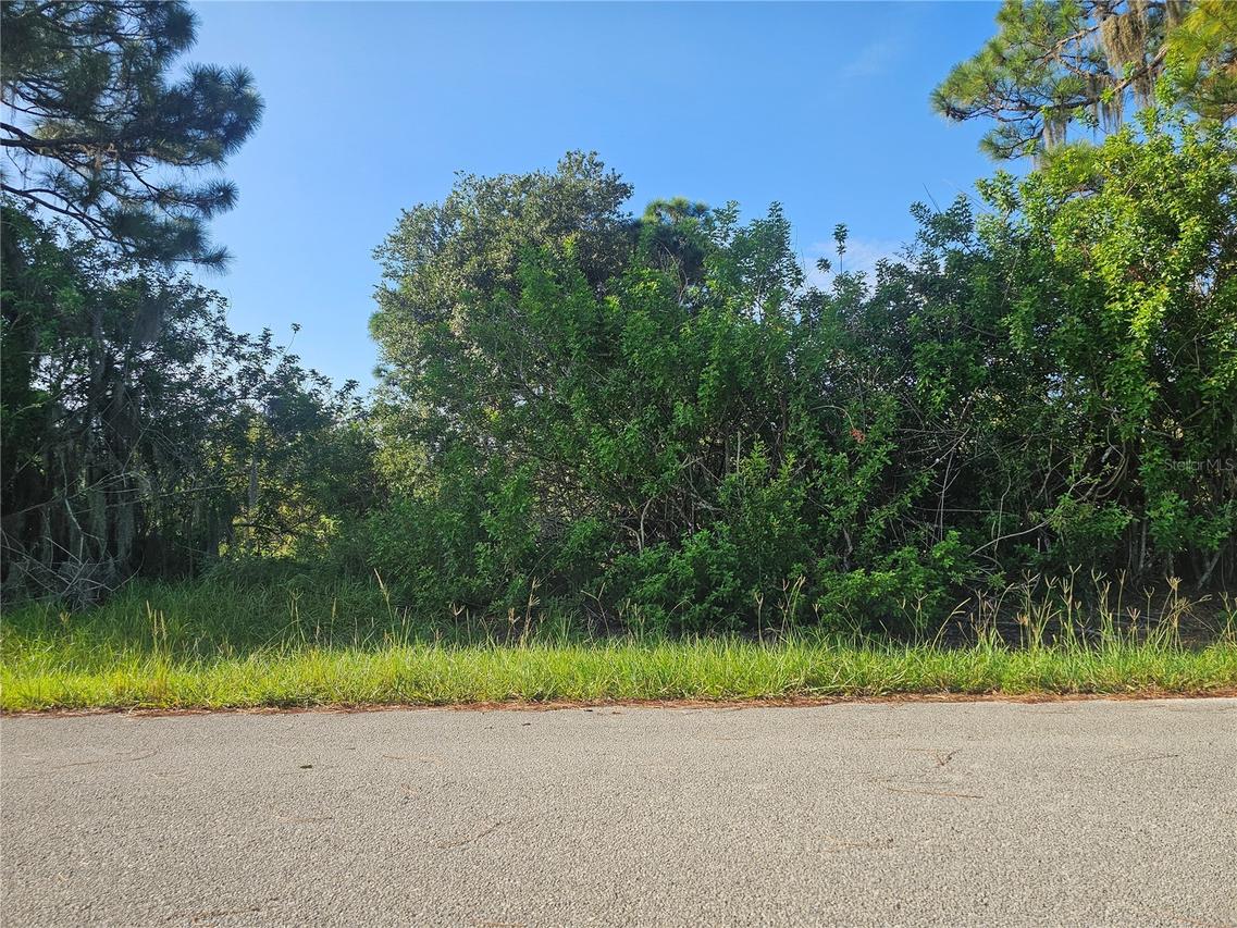 251 Sunbeam Ct., Lake Placid, FL 33852
