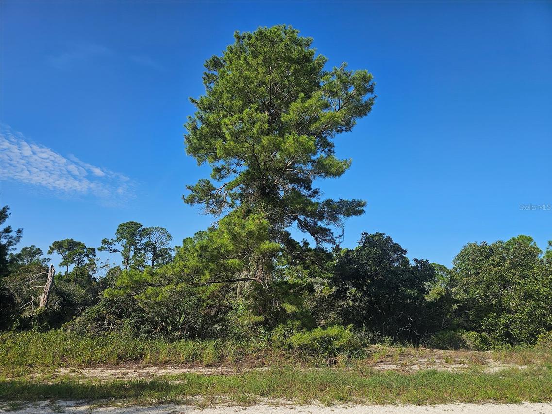476 Lake Helen Dr., Lake Placid, FL 33852