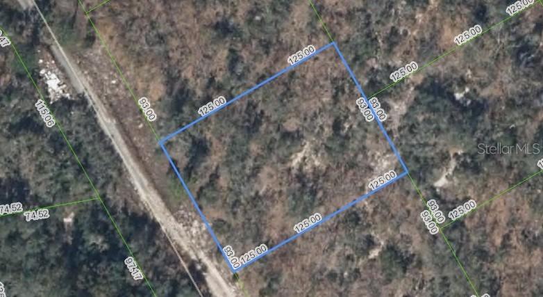 289 Blue Horizon Dr., Lake Placid, FL 33852