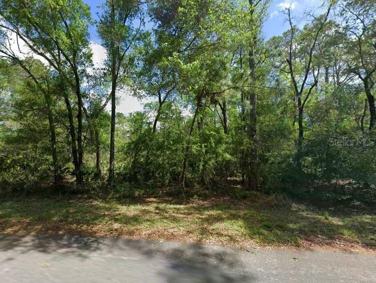 11476 W Cockscomb Dr., Crystal River, FL 34428