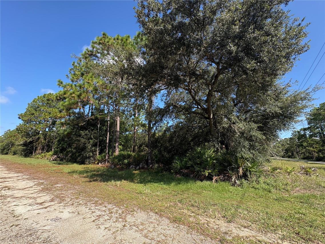 Alba, Indian Lake Estates, FL 33855