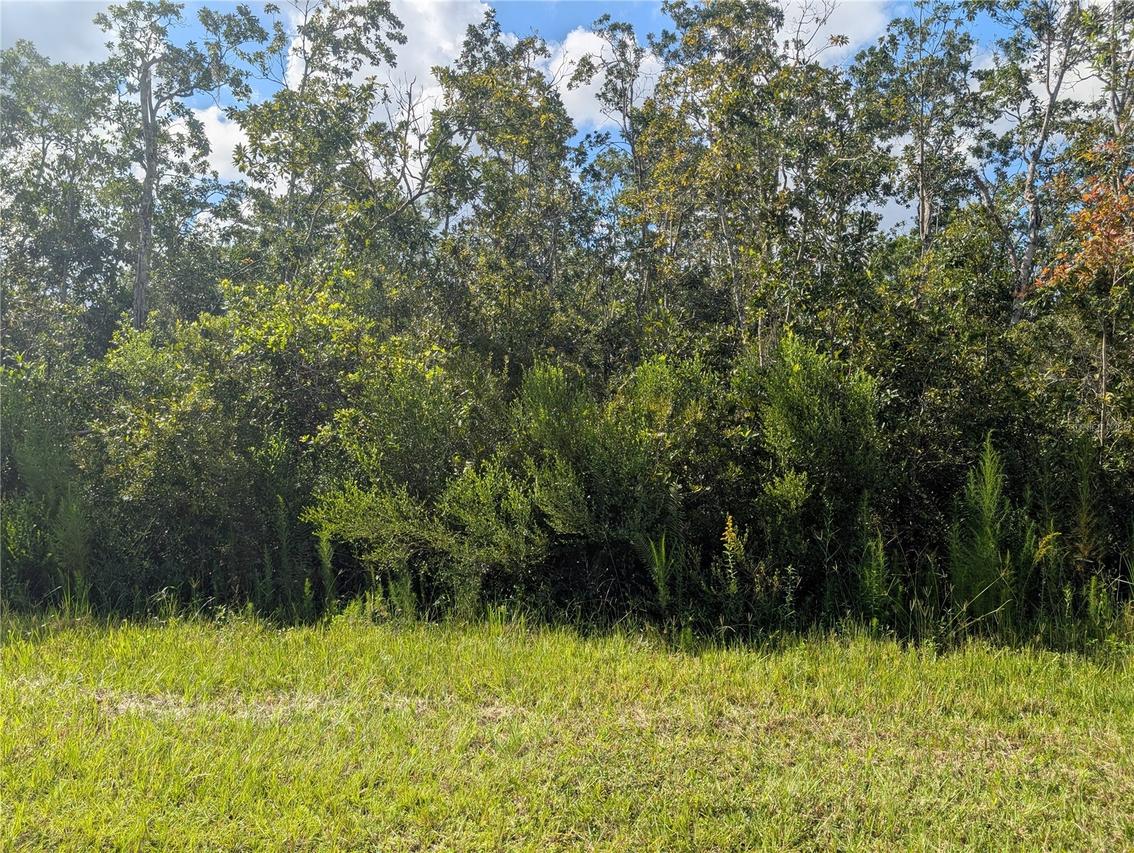 313 Bougainville Dr., Indian Lake Estates, FL 33855