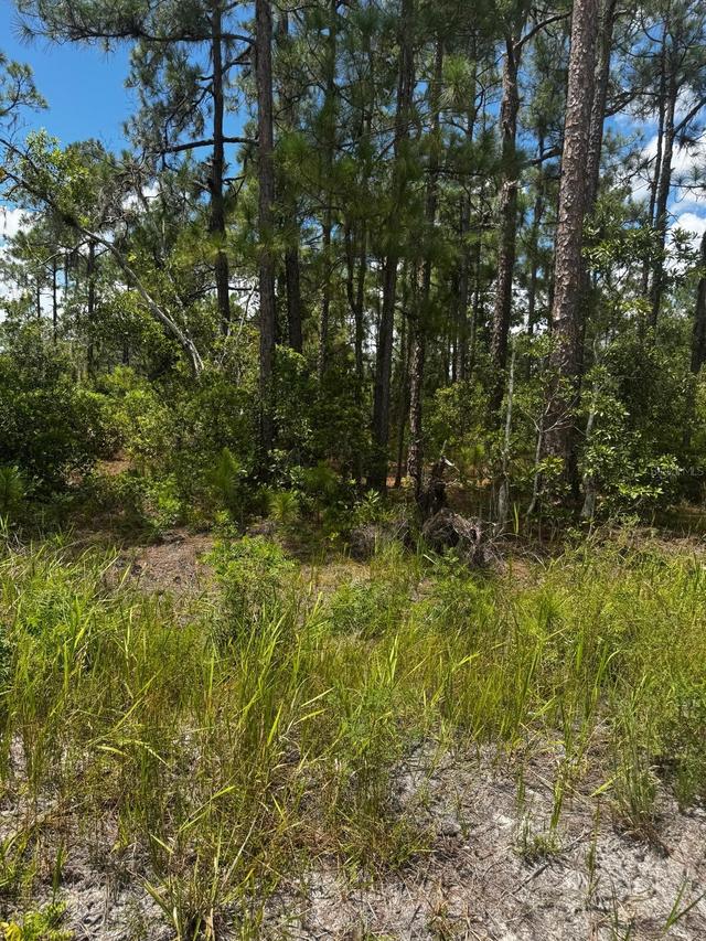 Mcclellan Rd. #6, Frostproof, FL 33843