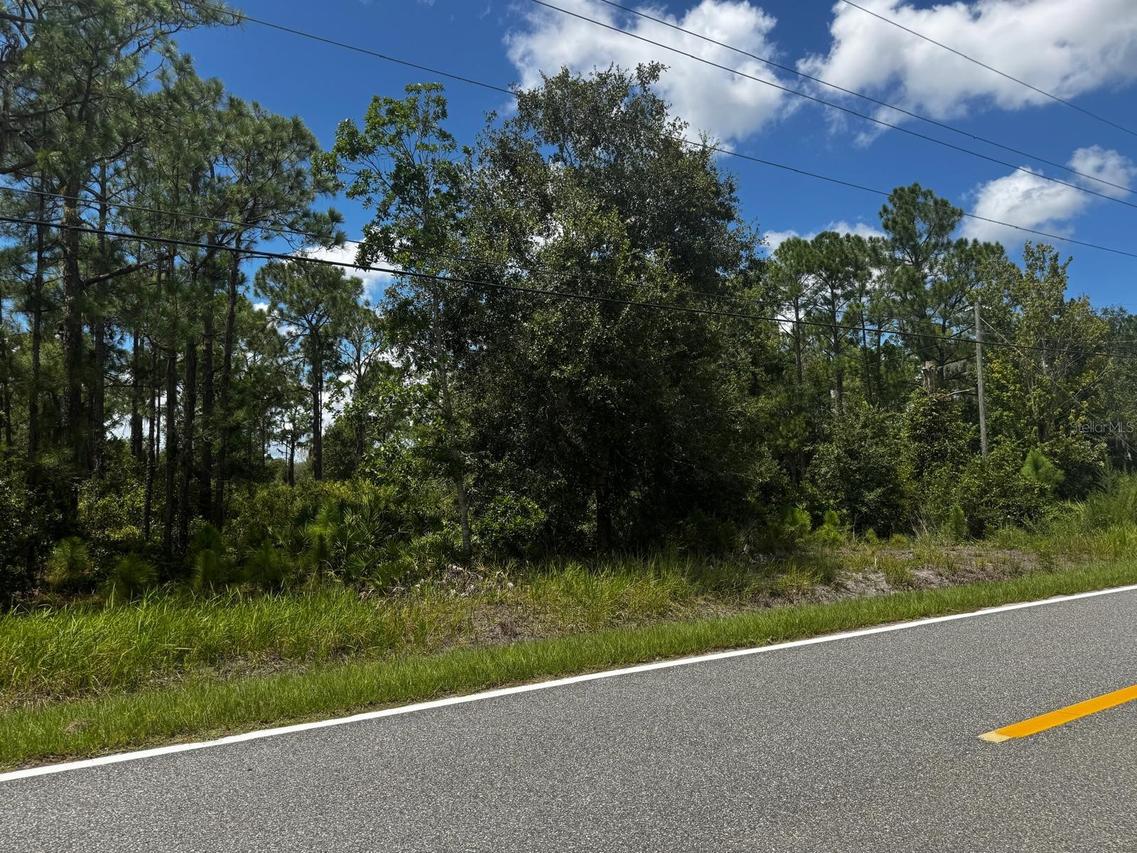 TBD Mcclellan Rd. #49, Frostproof, FL 33843