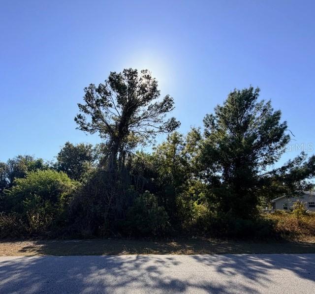 254 Loquat Rd., Lake Placid, FL 33852