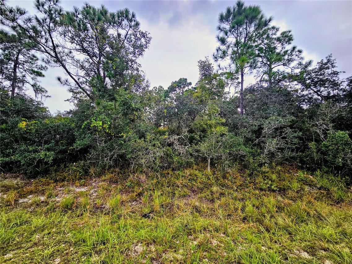 105 Bronson St., Lake Placid, FL 33852