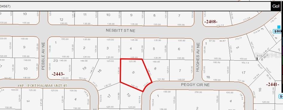 335 NE Peggy Cir., Palm Bay, FL 32907