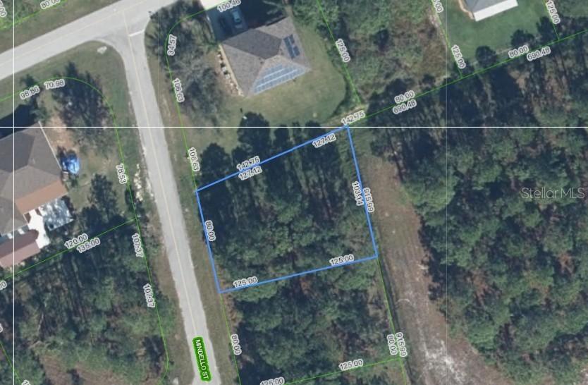 4406 Mindello St., Sebring, FL 33872