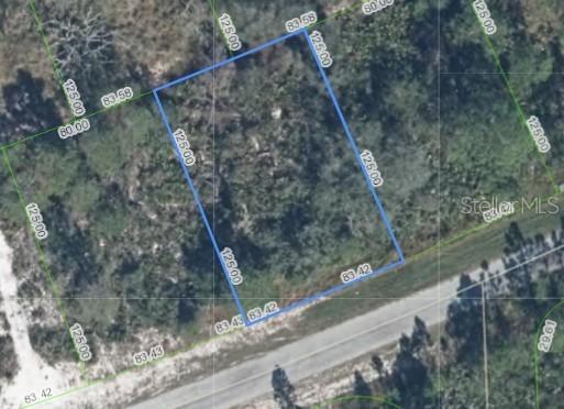 4459 Mindello St., Sebring, FL 33872