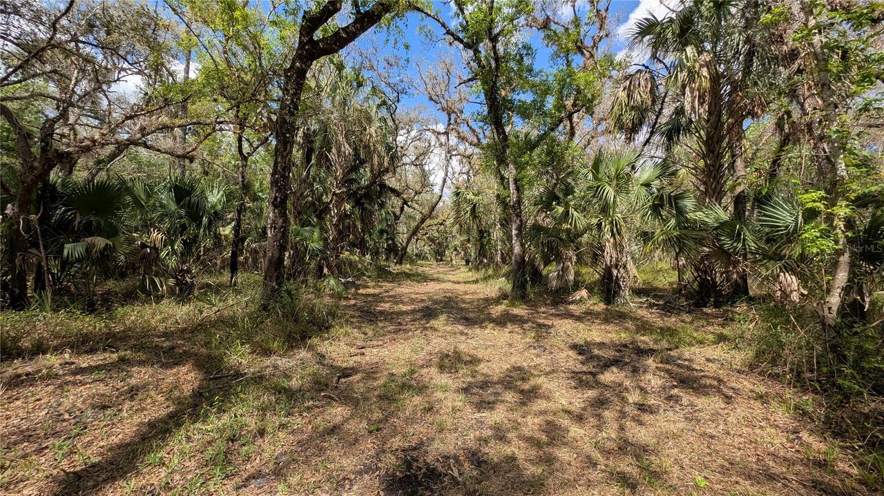 Gillette Rd., Zolfo Springs, FL 33890