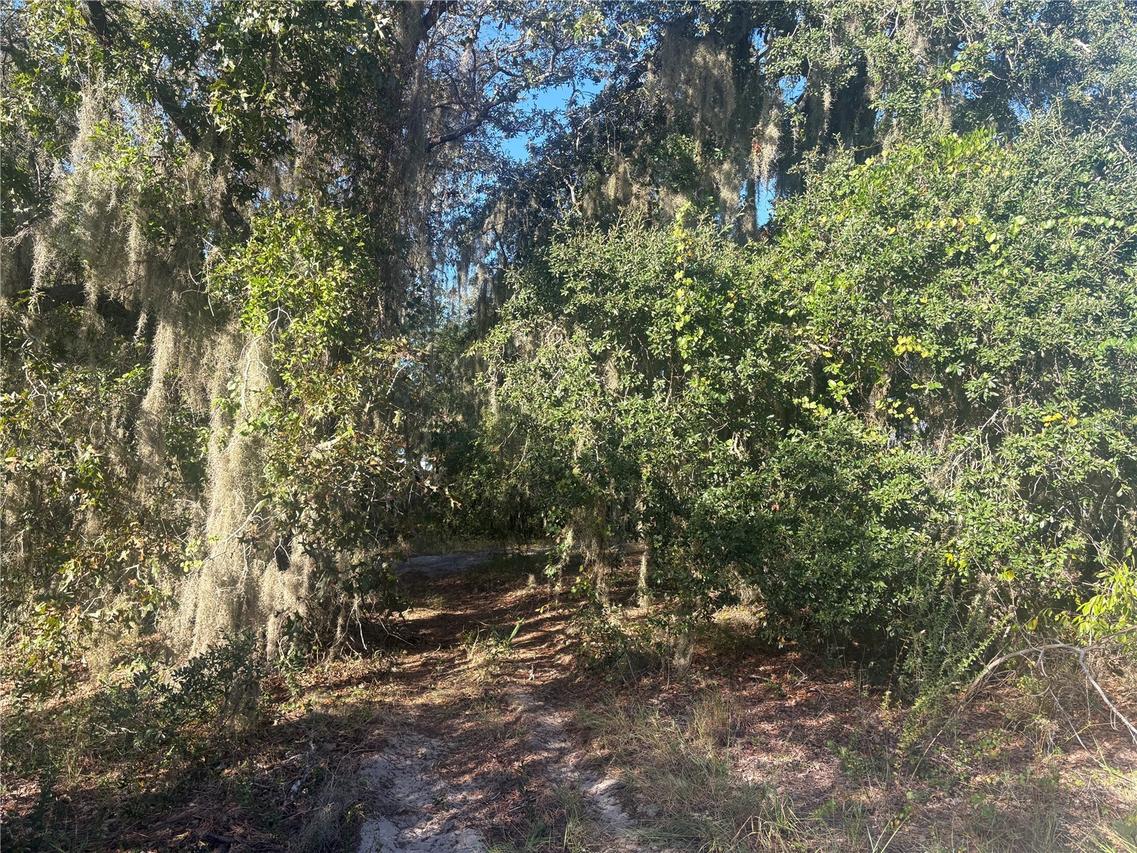 6607 Jenny Dr., Lake Wales, FL 33898