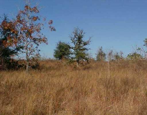 Marion County Rd., Lady Lake, FL 32159