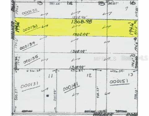 Tract 8 Walker Lake Rd., Alturas, FL 33820