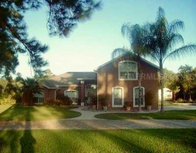 61 Sanctuary Ave., DeBary, FL 32713