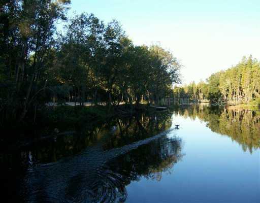 2504 Alvarez Rd., Tampa, FL 33618