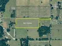 13778 Cr 209, Oxford, FL 34484