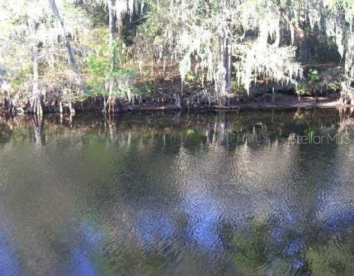 11913 Riverhills Dr., Tampa, FL 33617