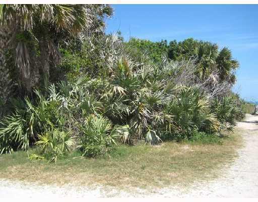 Hill St., New Smyrna Beach, FL 32169