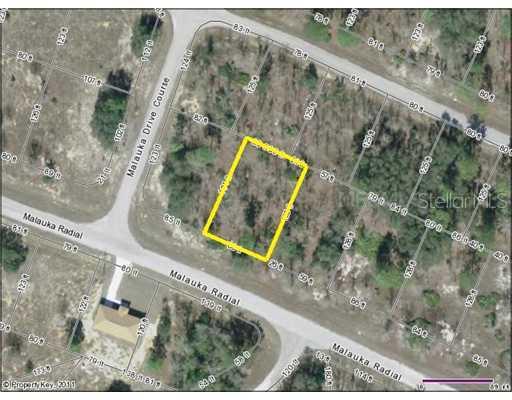 0 Malauka Radial, Ocklawaha, FL 32179