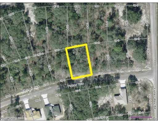 Fisher Trace Course, Ocklawaha, FL 32179