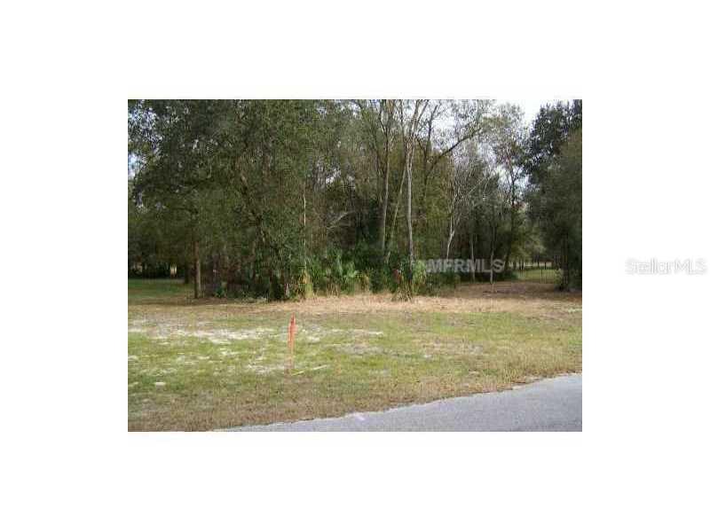 18827 Carr Dr., Lutz, FL 33559