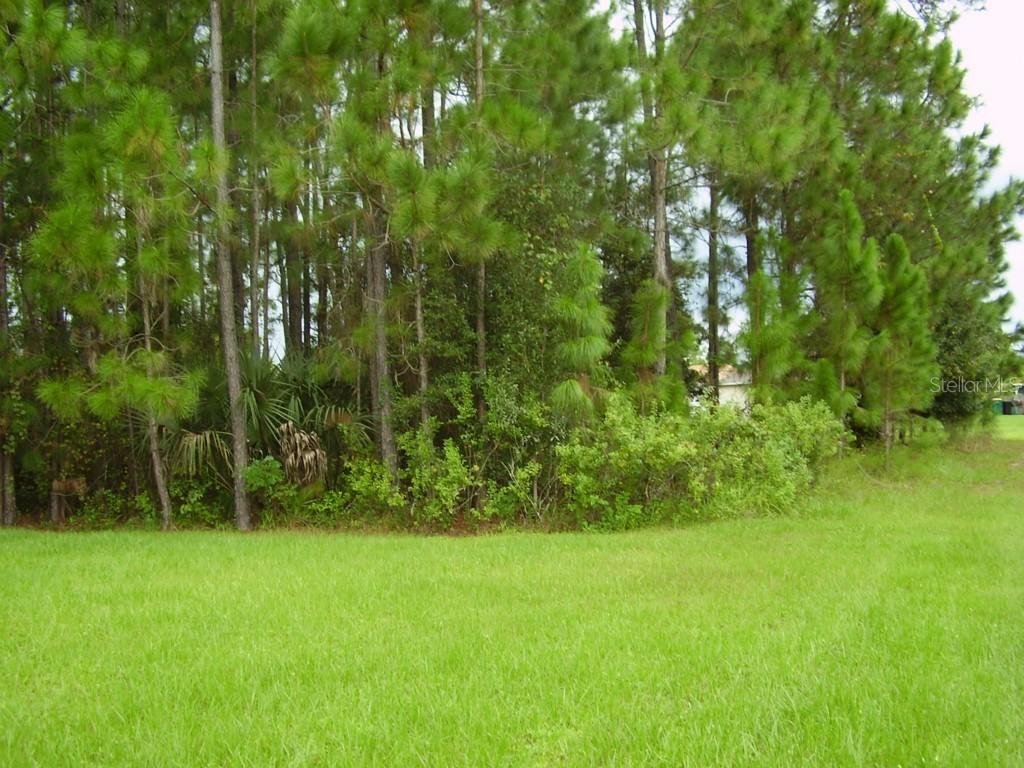 921 Gillingham Ct., Kissimmee, FL 34758