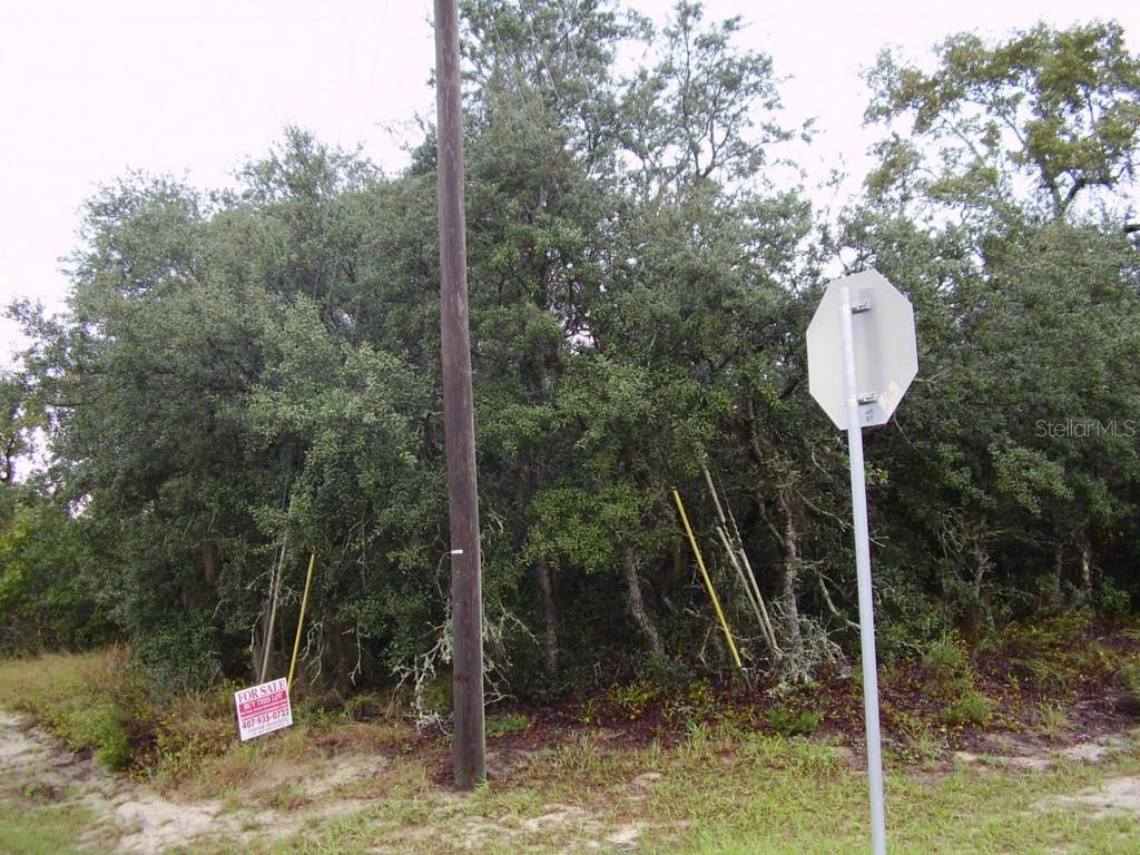 1602 Pickerel Ct., Poinciana, FL 34759