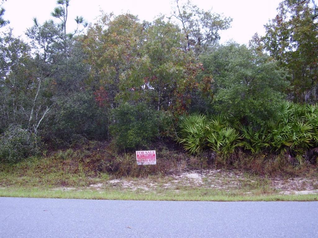 1606 Pickerel Ct., Kissimmee, FL 34759