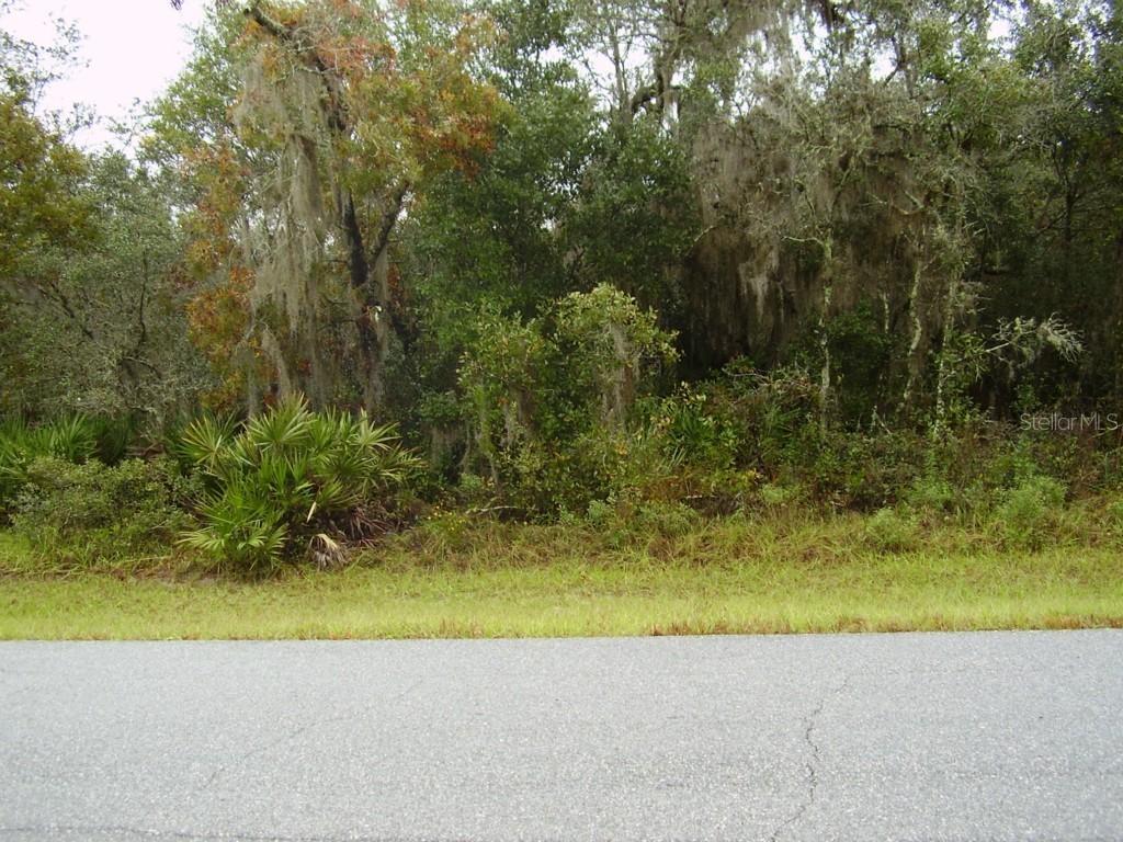 1603 Pickerel Ct., Kissimmee, FL 34759