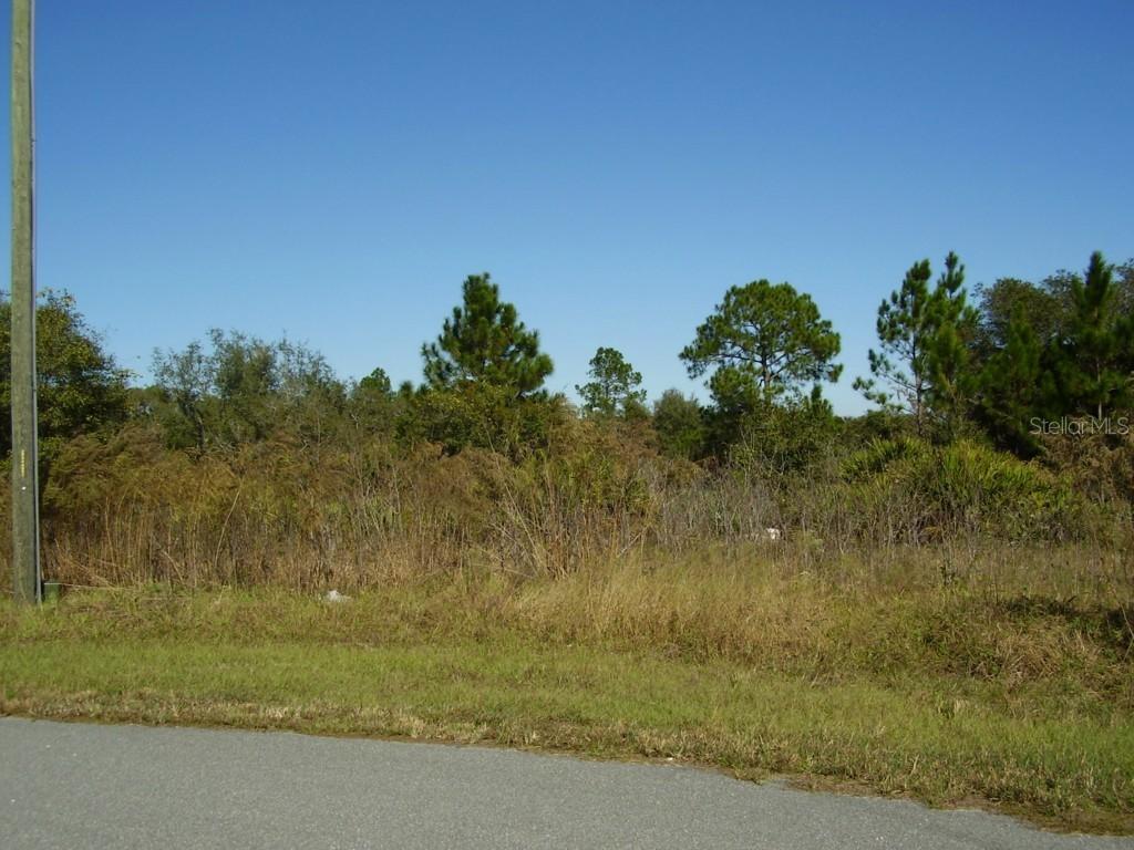 1605 Minnow Ln., Kissimmee, FL 34759