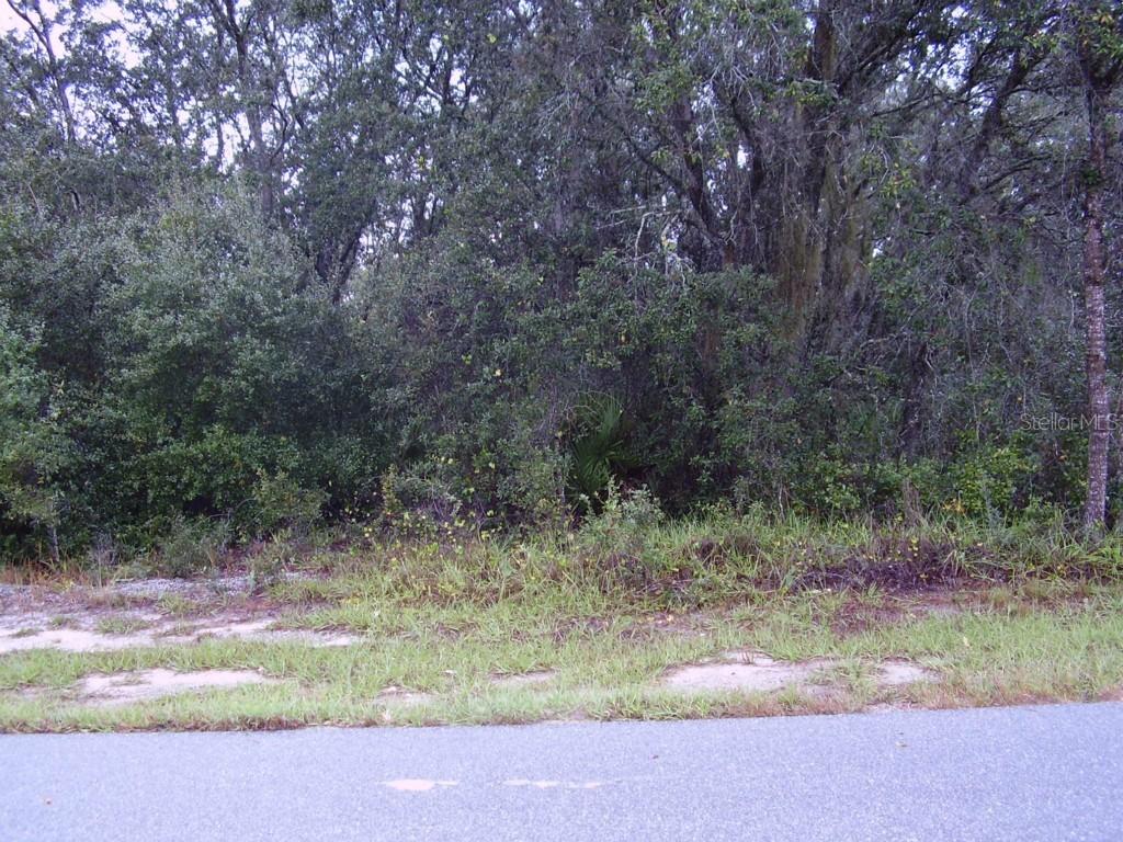 1610 Tench Ct., Kissimmee, FL 34759