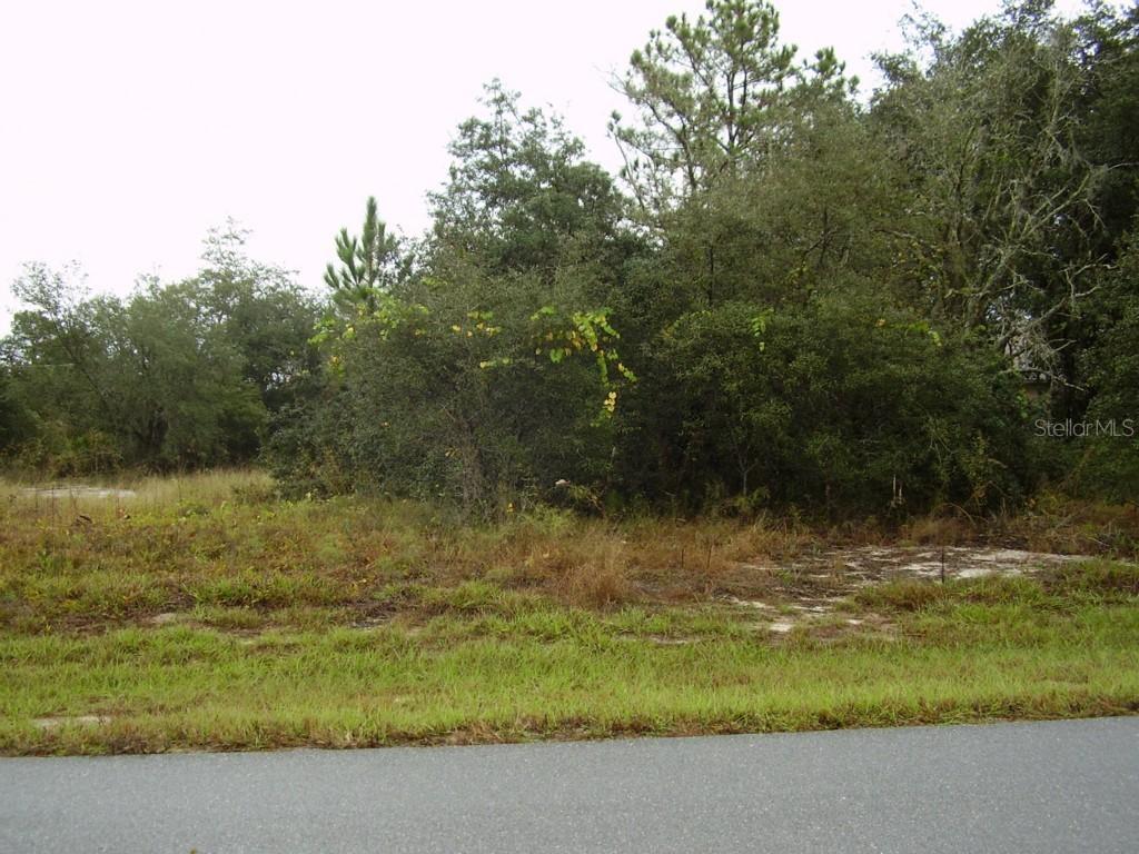 1609 Tench Ct., Kissimmee, FL 34759