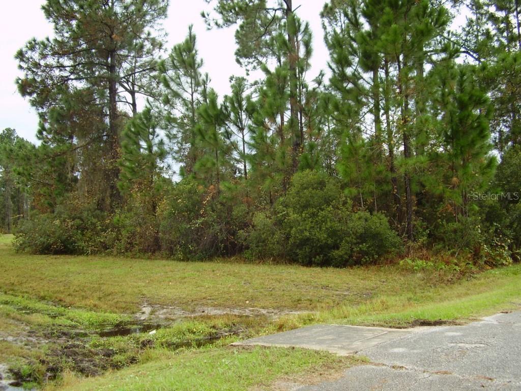 Mediterranean Ct., Kissimmee, FL 34759