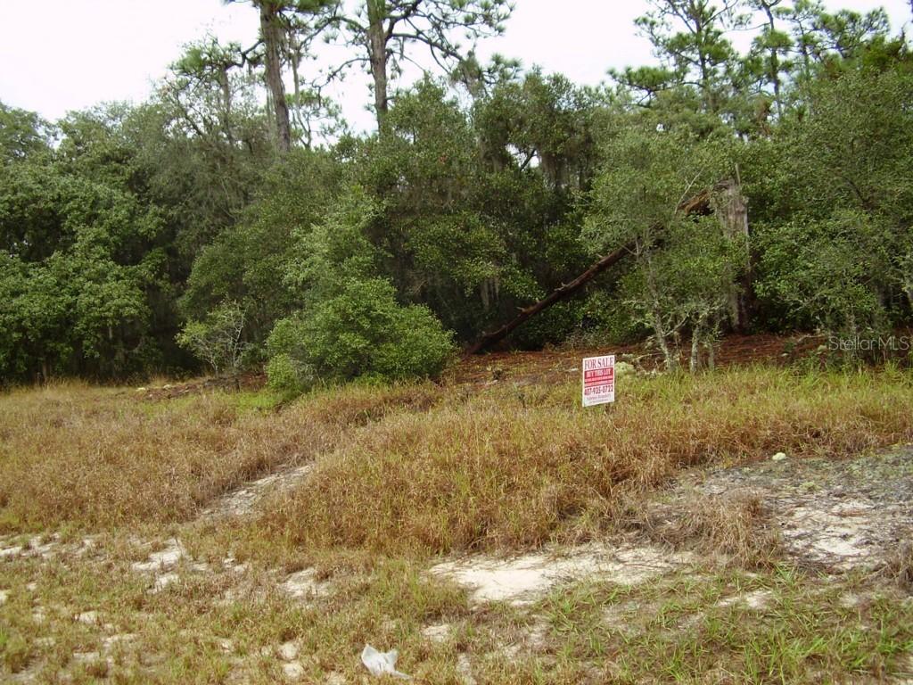 1303 St Augustine Ct., Kissimmee, FL 34759