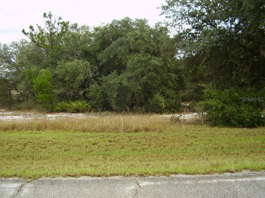 Hillsborough Dr., Kissimmee, FL 34759