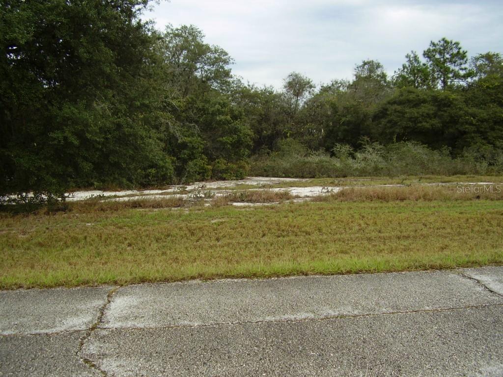 Hillsborough Dr., Kissimmee, FL 34759