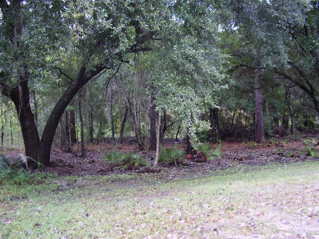 Partridge Ln., Kissimmee, FL 34759