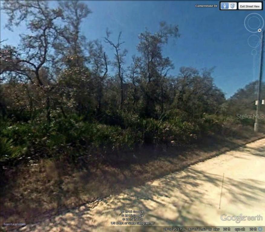 Cornerstone Dr., Webster, FL 33597