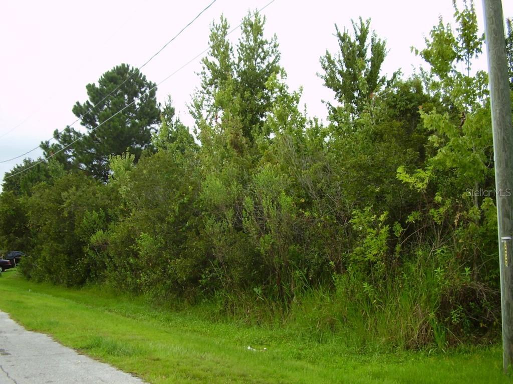 407 Metz Ln., Kissimmee, FL 34759