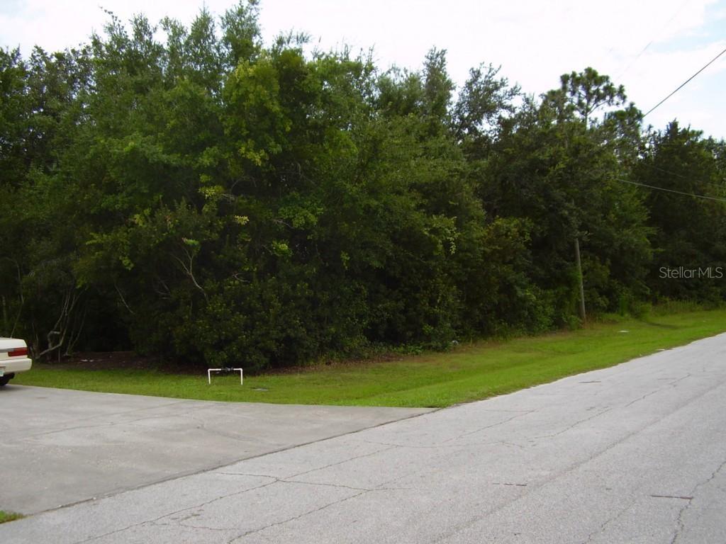 463 Dove Dr., Kissimmee, FL 34759