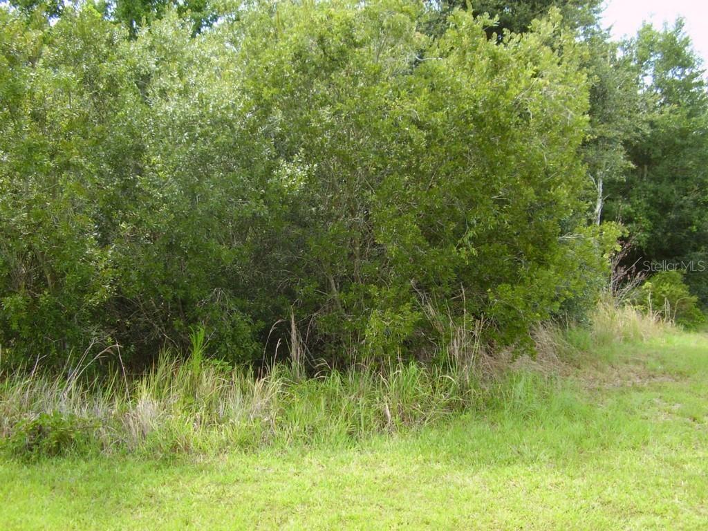 Teal Ct., Kissimmee, FL 34759