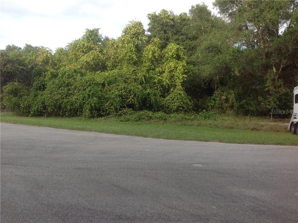 Bridges Glen Lot 7, Clermont, FL 34711