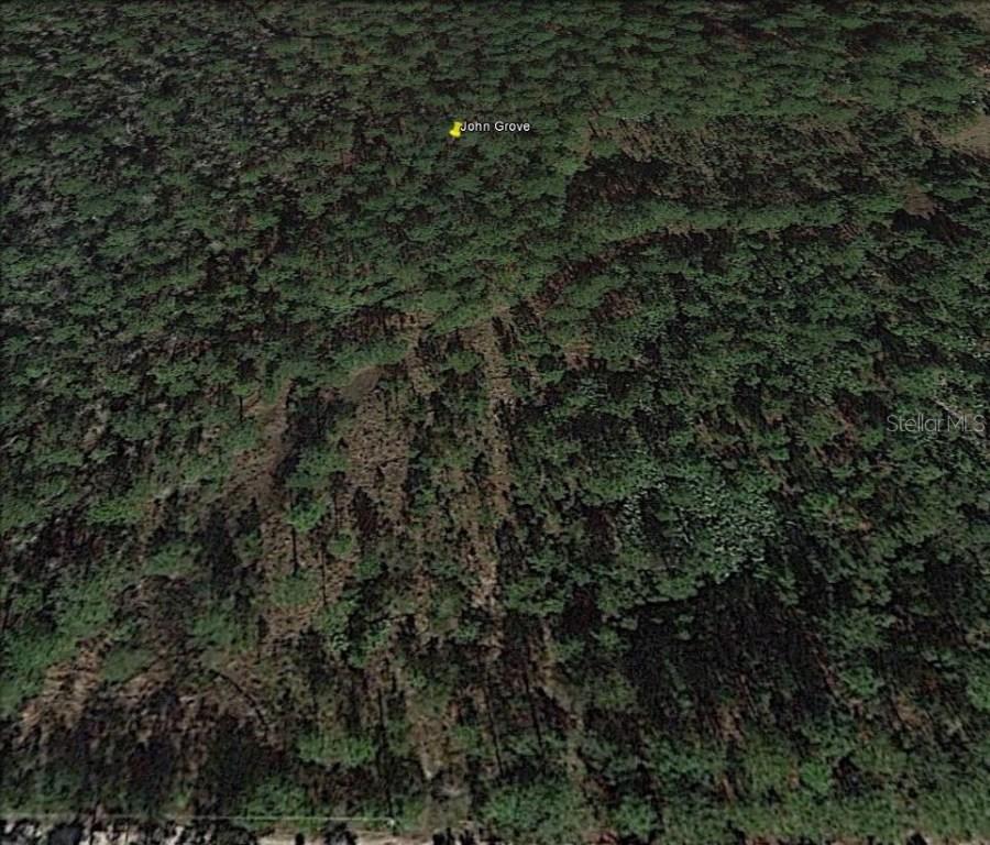 Hamelin Ln., New Smyrna Beach, FL 32168