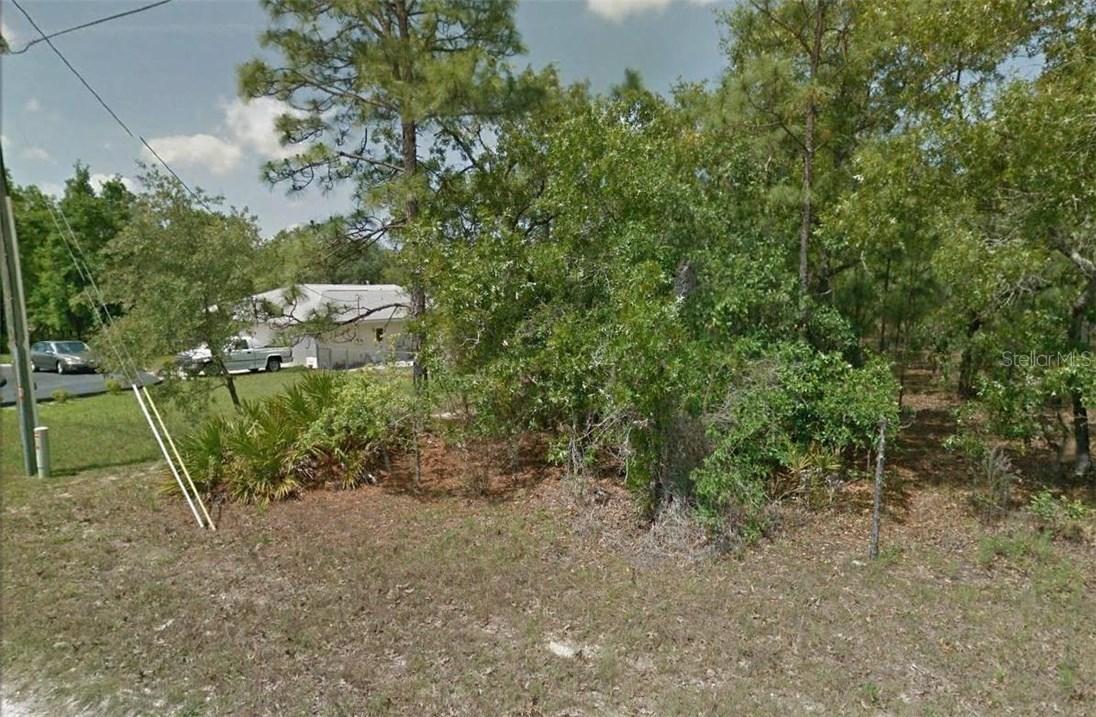 9091 Mazette Rd., Weeki Wachee, FL 34613